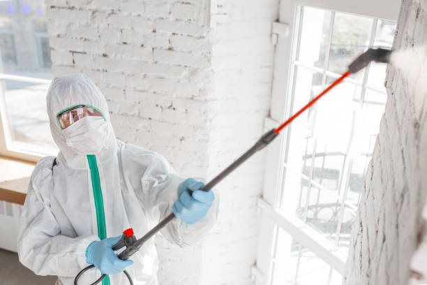 Best Commercial Mold Inspection  in Thorntown, IN