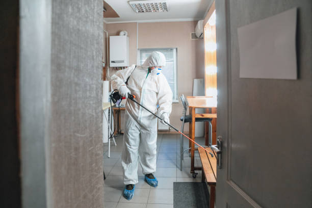 Best Mold Odor Removal Services  in Thorntown, IN