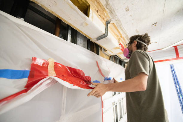 Best Mold Odor Removal Services  in Thorntown, IN