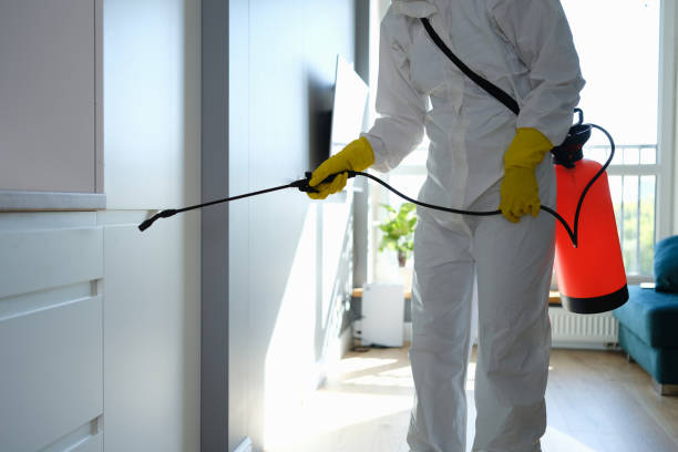 Best Mold Removal for HVAC Installations  in Thorntown, IN