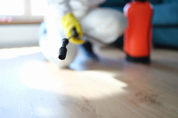 Best Indoor Air Quality Assessment  in Thorntown, IN