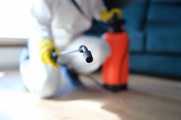 Best Mold Prevention Services  in Thorntown, IN