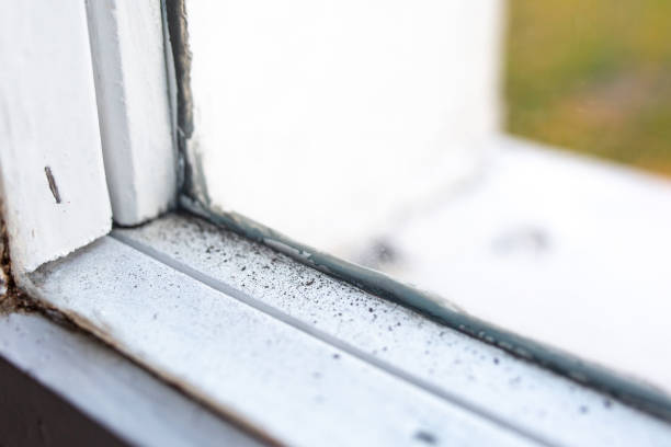Best Residential Mold Inspection & Testing  in Thorntown, IN
