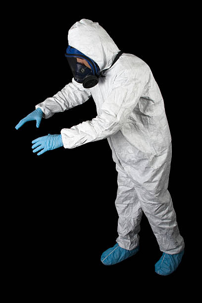 Best Mold Damage Restoration  in Thorntown, IN